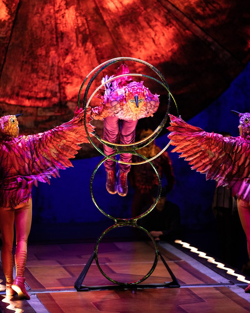 Aerial performance at a live event